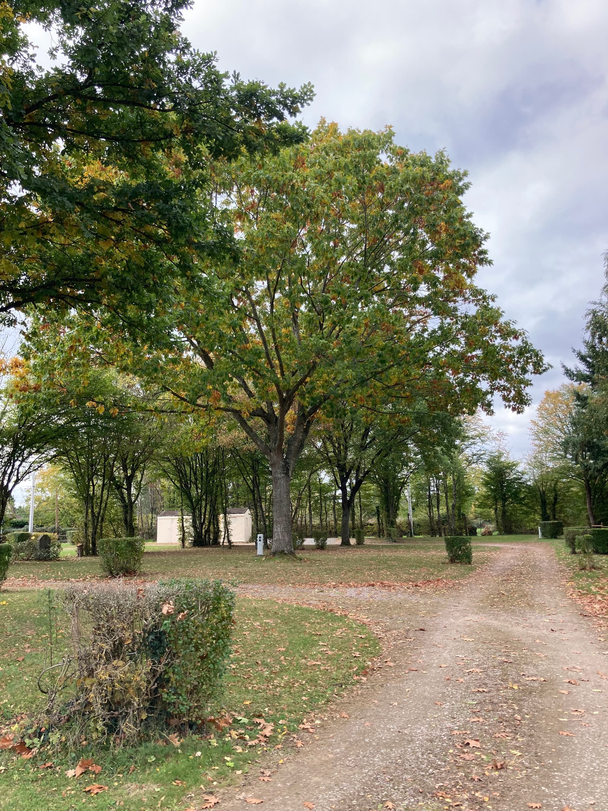 Aire Camping Car Park Lignieres