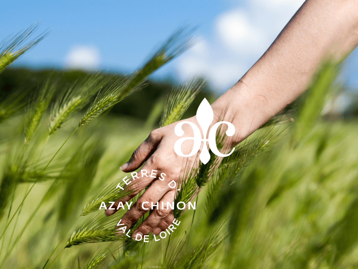 Affiche nature