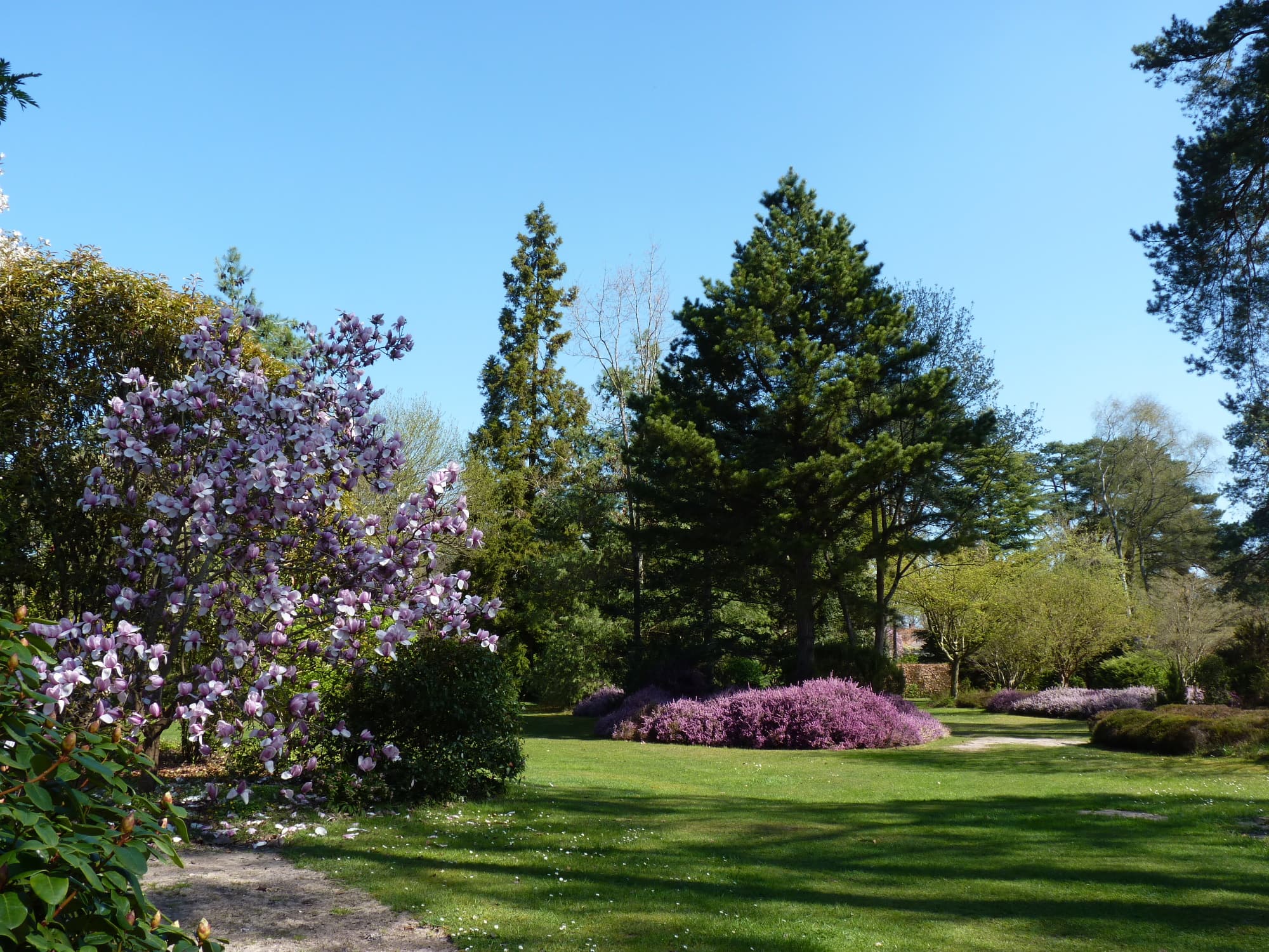 Arboretum asiatique