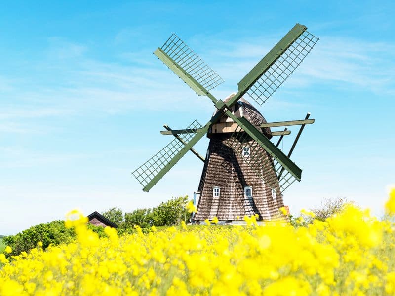 Atelier famille « À vos moulins ! »