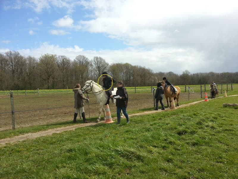 Attelage-plaisirs-feings©Attelage-Plaisirs01