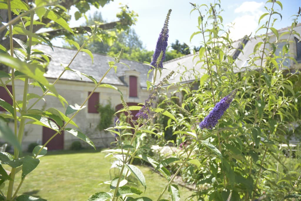 BEV_LaPenesais_jardin