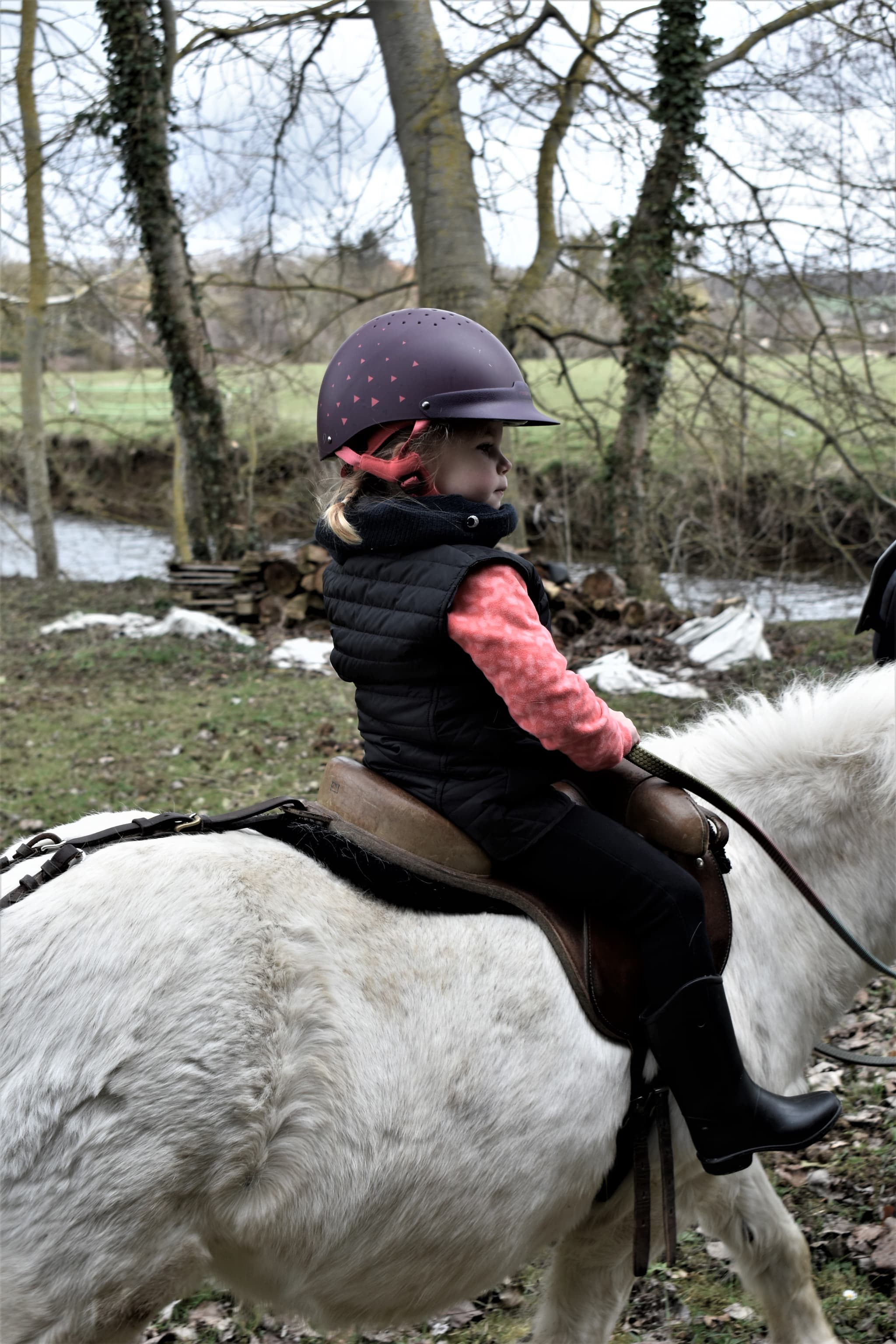 Balade à poney