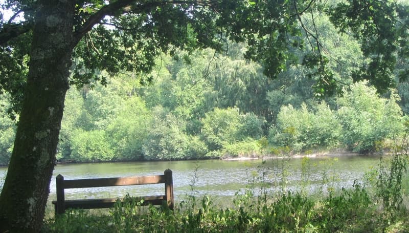 Banc etang Francine Batsère