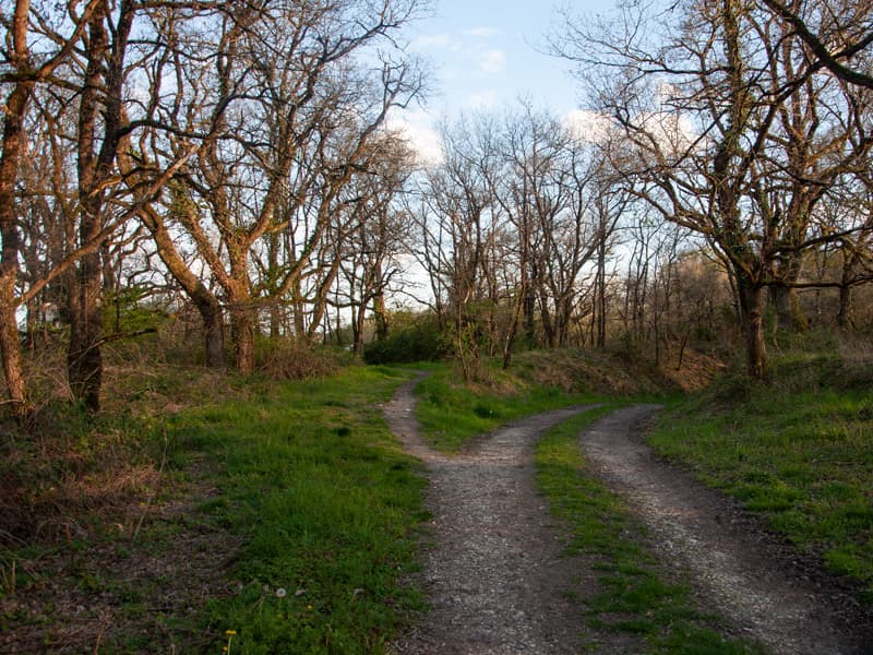 Chemin du Blizon - PNR Brenne
