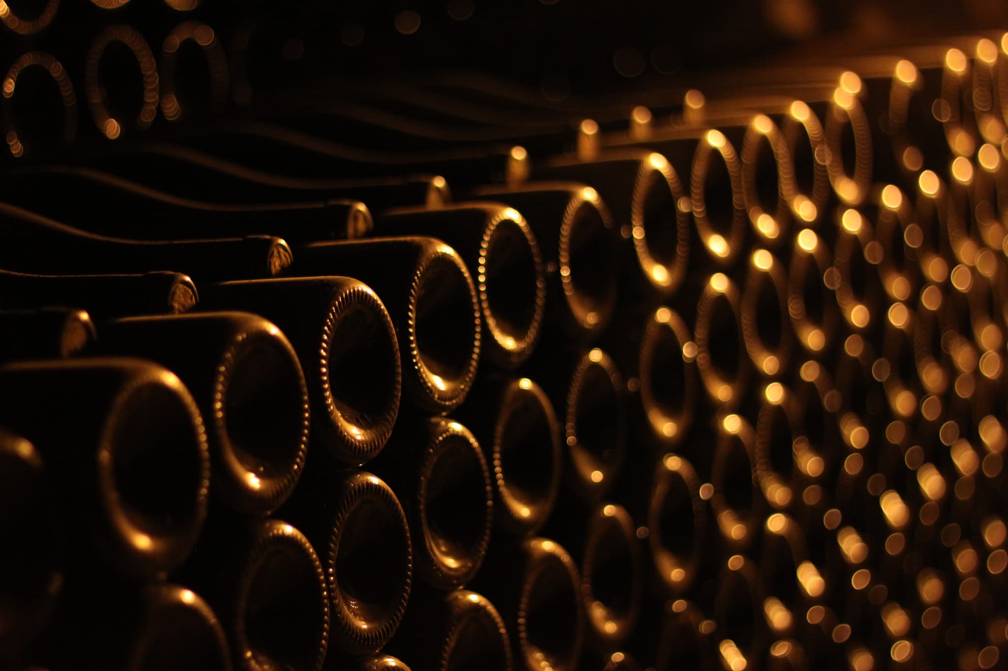 Bonnigal-Bodet-Vignerons--4-