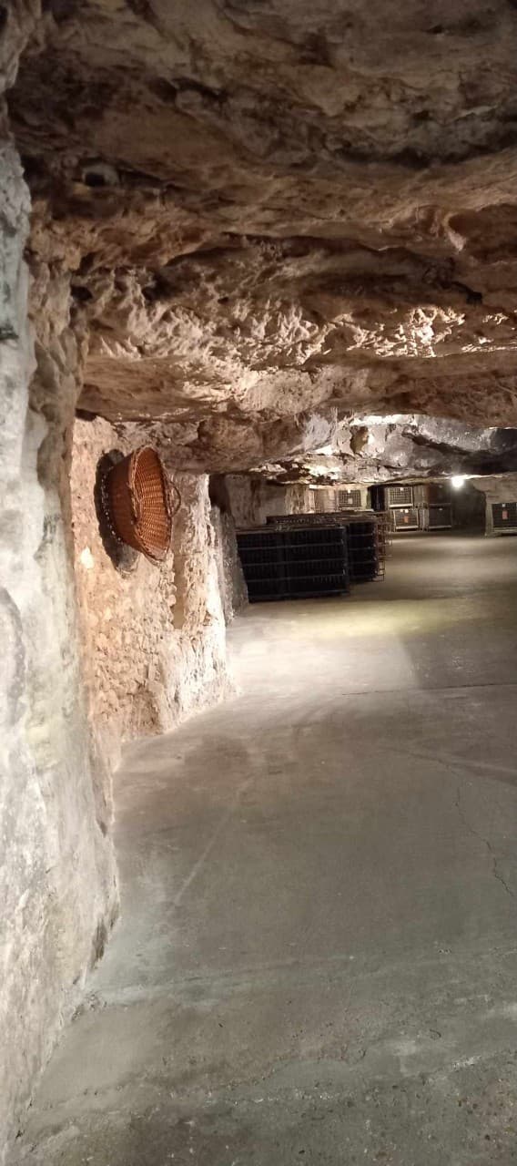 CAVE