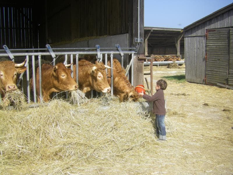 Ferme de la charité