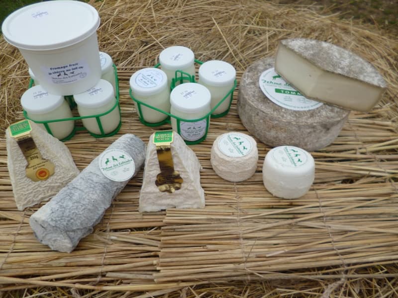 Ferme des cabrioles