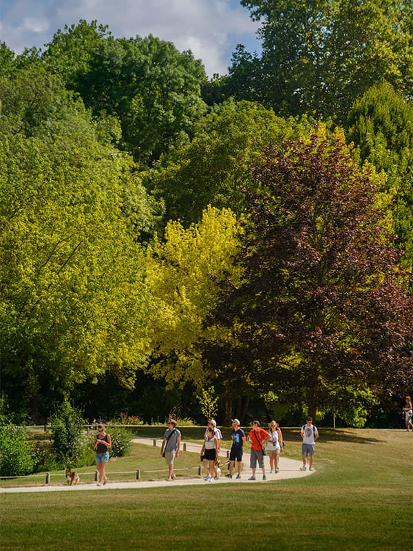 Parc du château d'Azay-le-Rideau