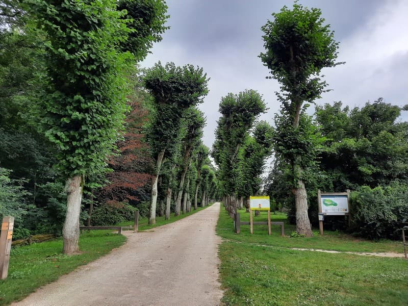 Allée de Lamballe