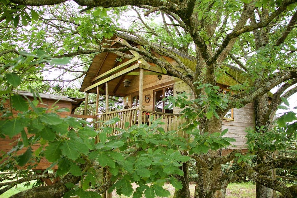 Cabanne arbre
