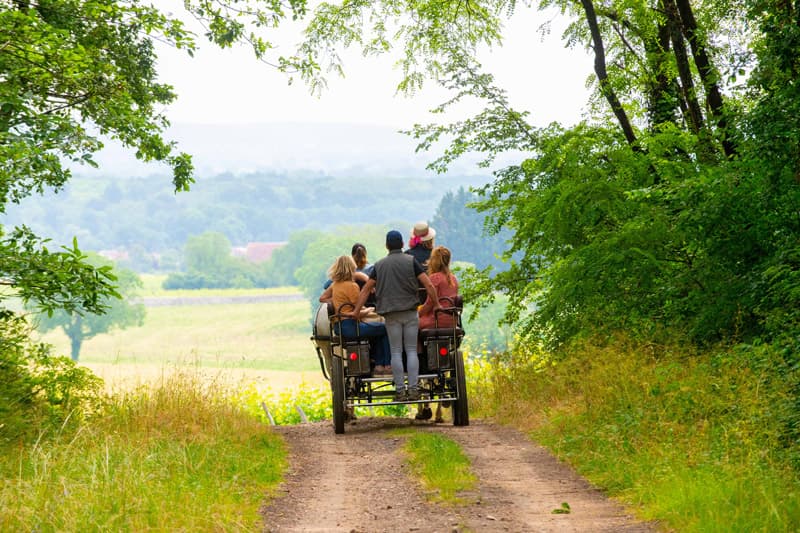 Calèche en Rabelaisie