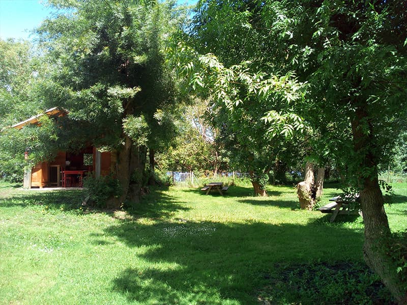Camping les Terres de Belle Rive - Candes-Saint-Martin