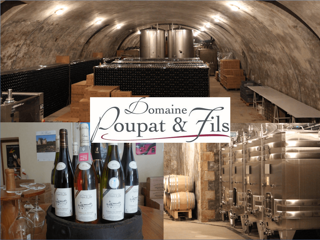 Briare - Domaine Poupat et fils - cave