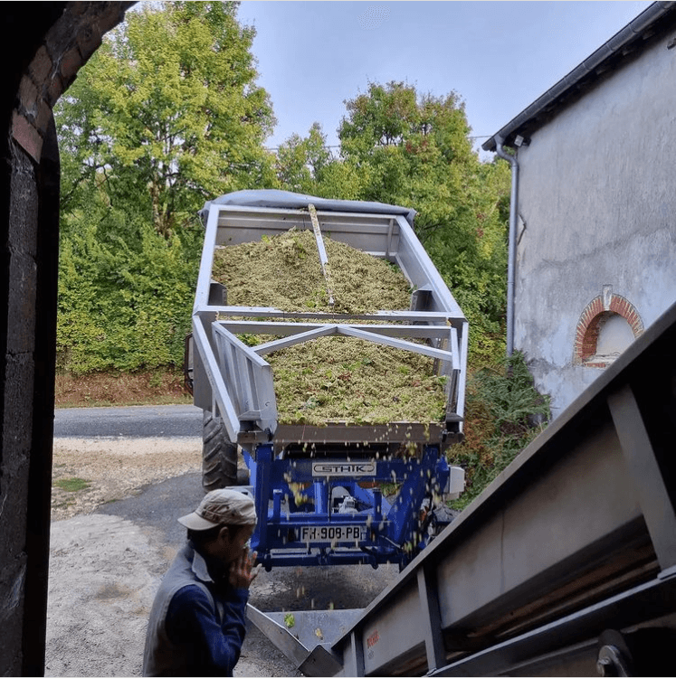Vendanges