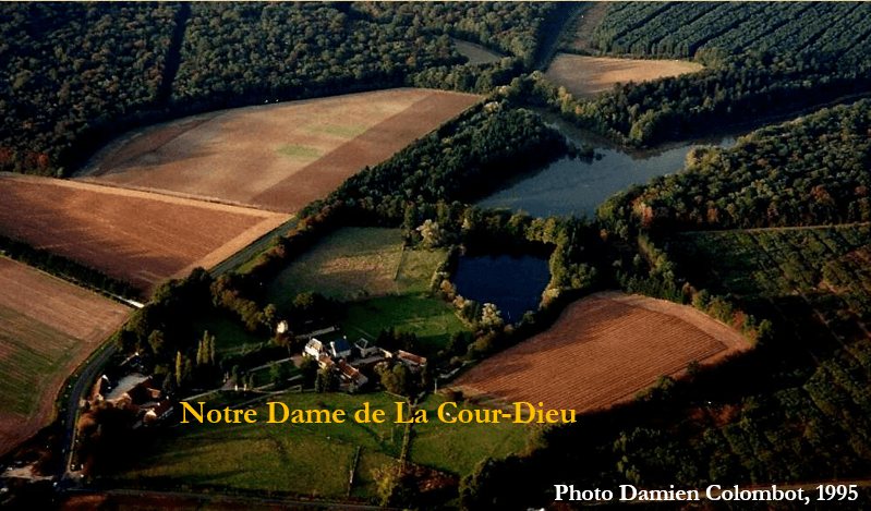 Capture Damien1995