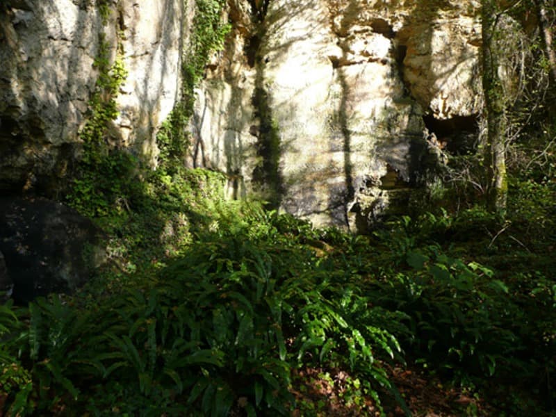 Carrière Chéret