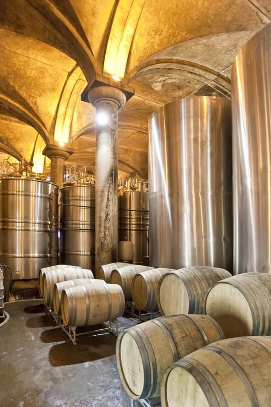 Chai-Vinification-2011-22