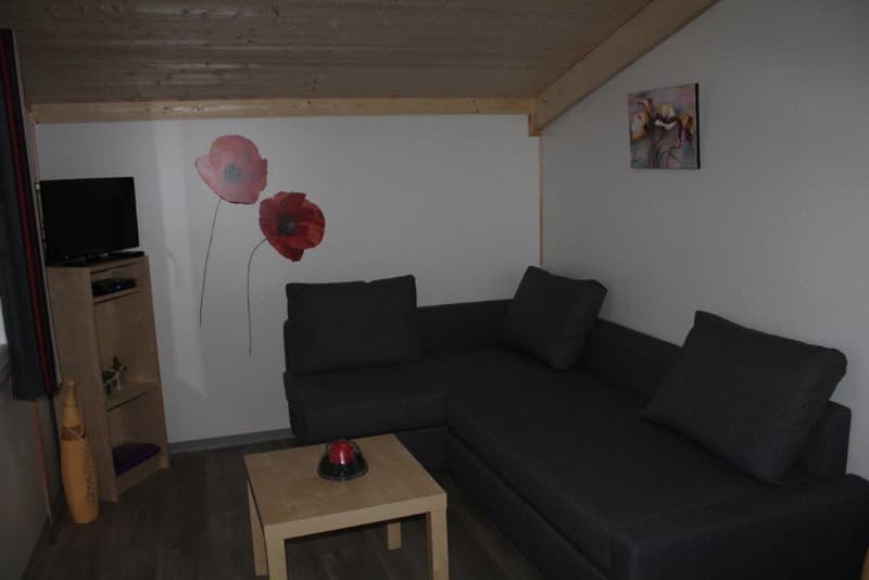 Chalet-La-Ferme-de-Couffy-Salon