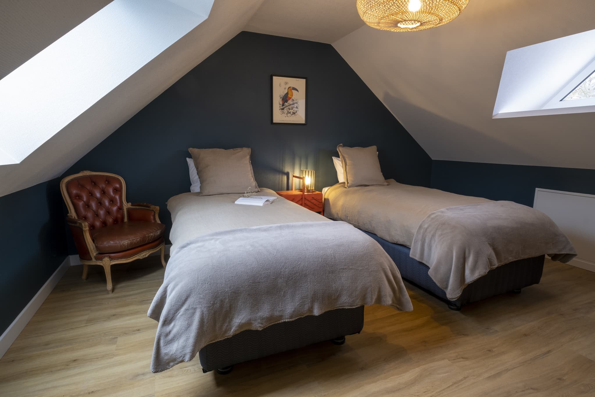 Chambre Tomate bleu