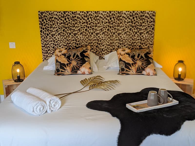 Chambre_tis