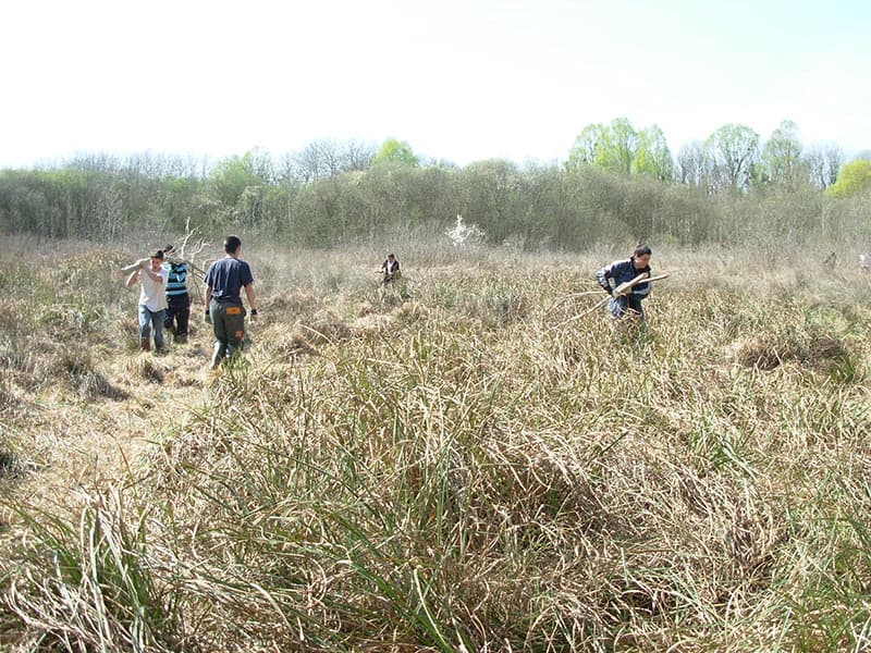 Chantier-ecovolontaire---Nature-18
