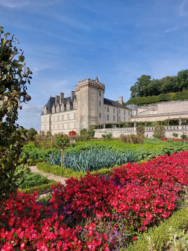 French Pac - Visite du Château de Villandry