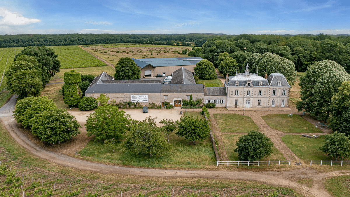 Chateau de l'Aulée - Azay-le-Rideau