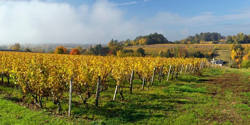 Chateau Gaudrelle - Rochecorbon, AOC vouvray