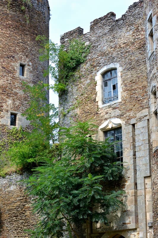 Chateaubrun2