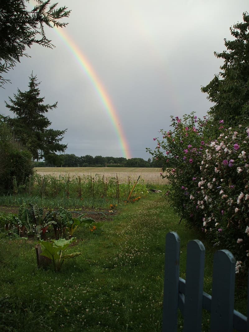 Chez Laurette (1)