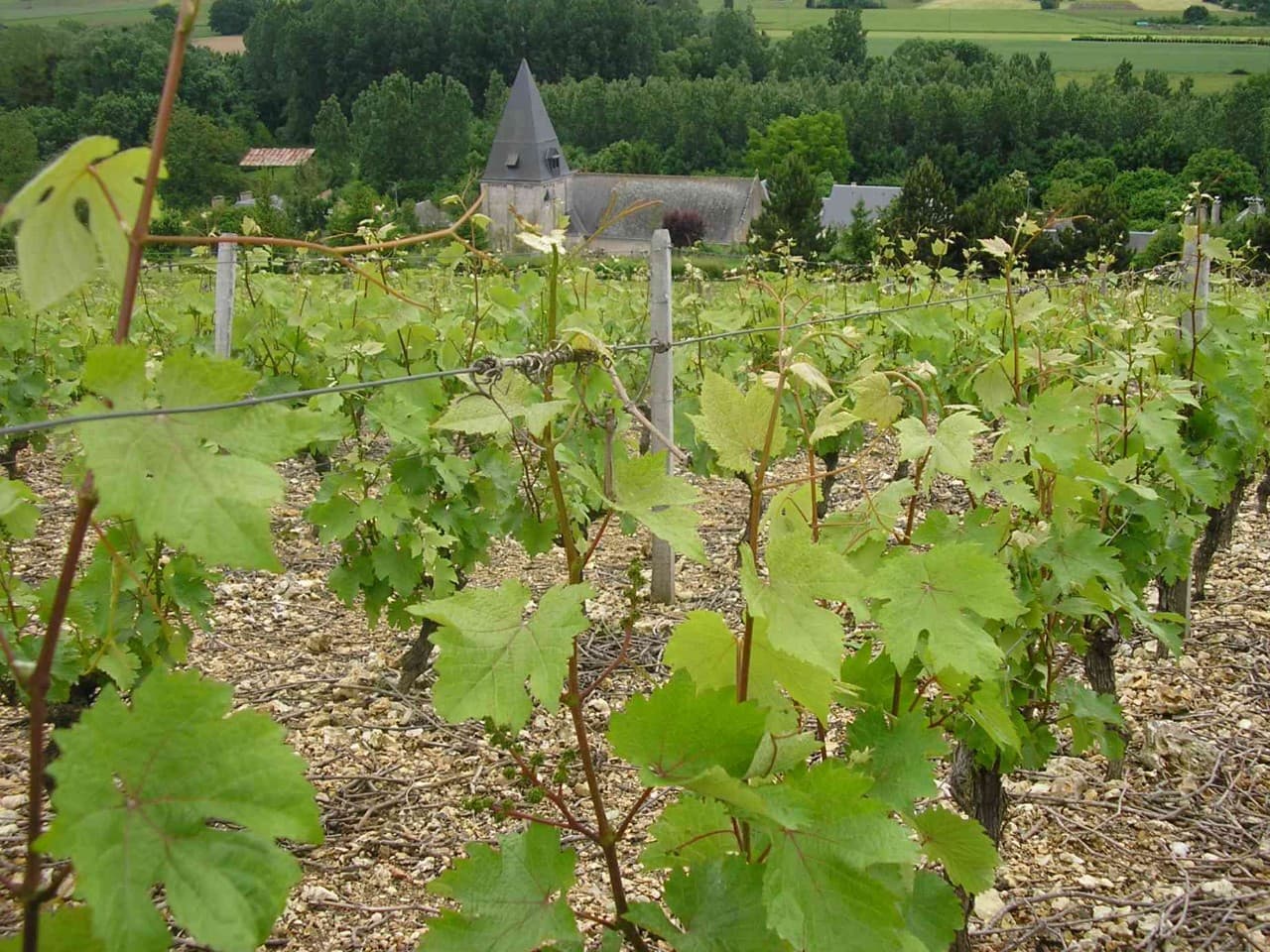 Clos du Pavillon