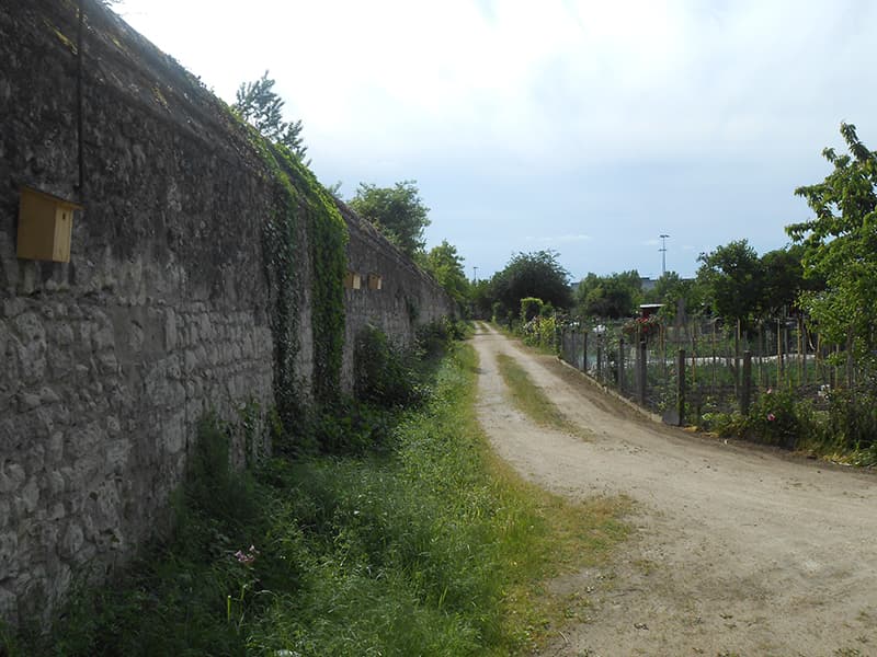 Couvent-des-minimes--8-