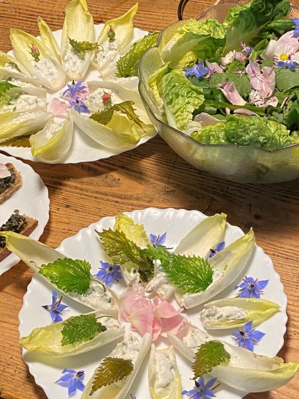 Cuisine plantes sauvages comestibles