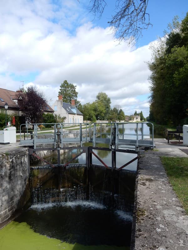 Canal d'Orléans à Donnery