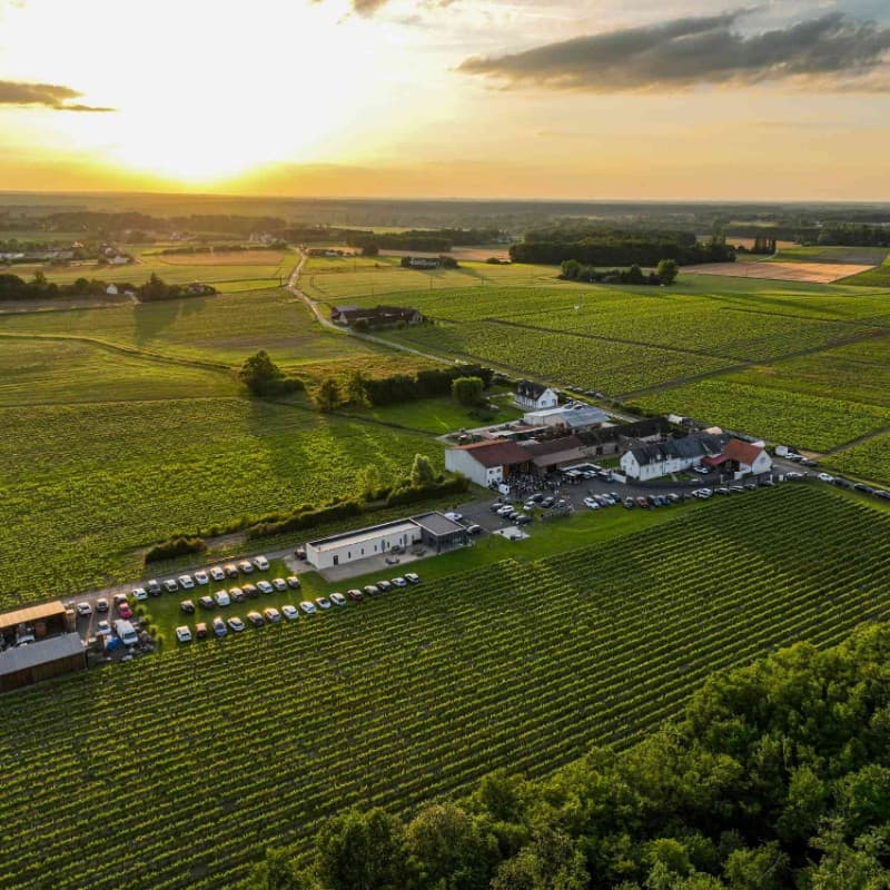 DOMAINE