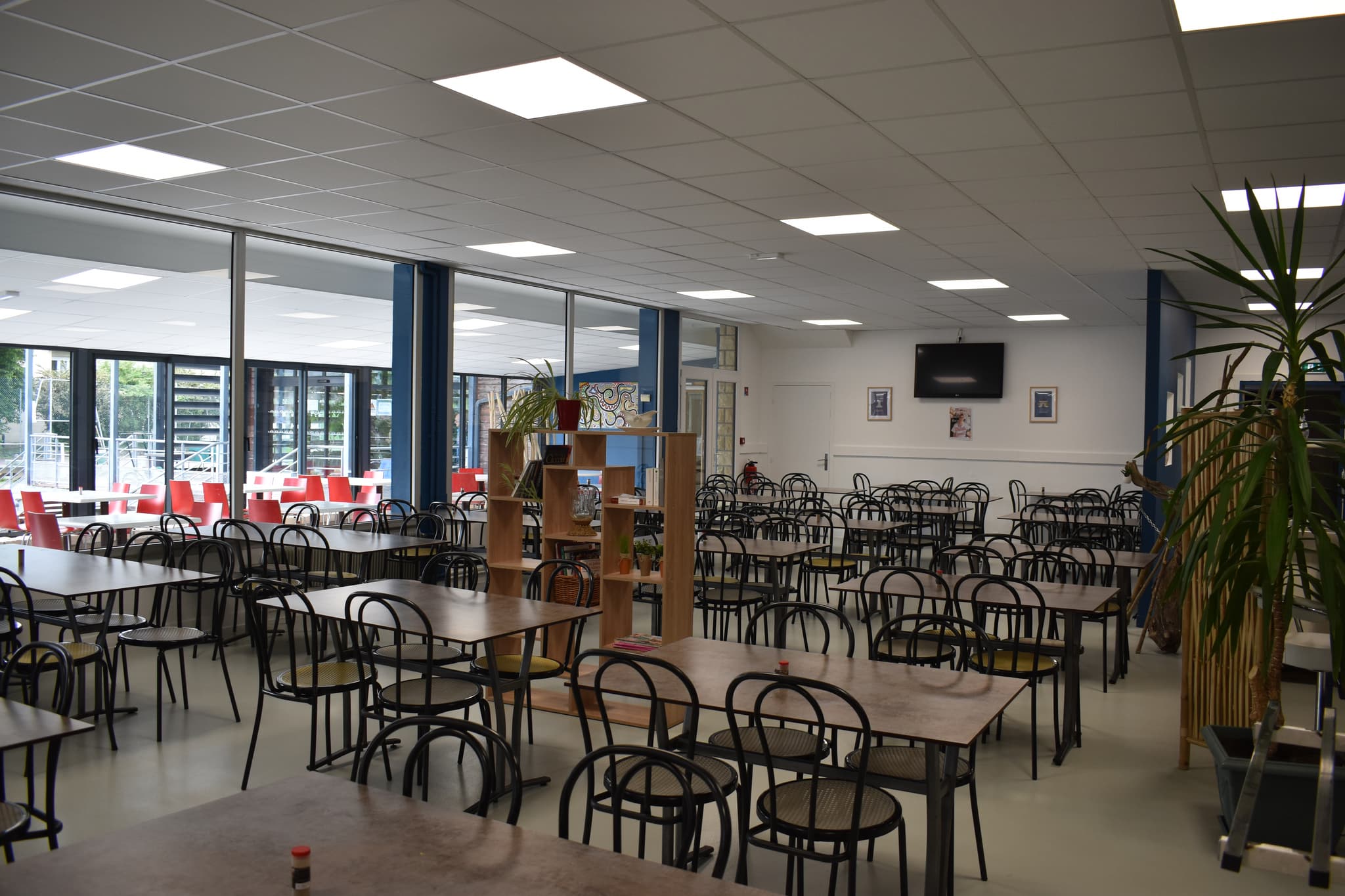 salle restaurant