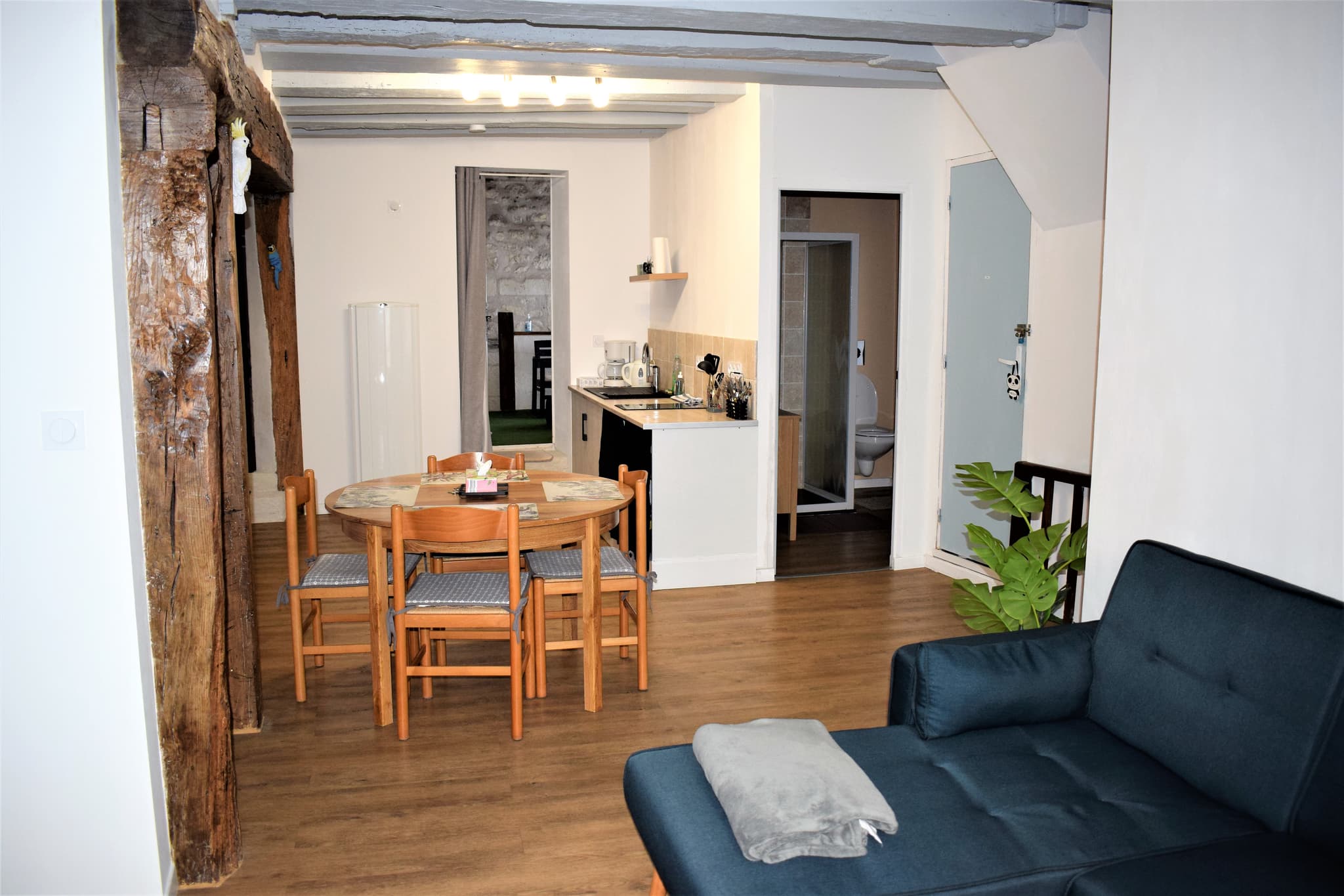 salon séjour cuisine