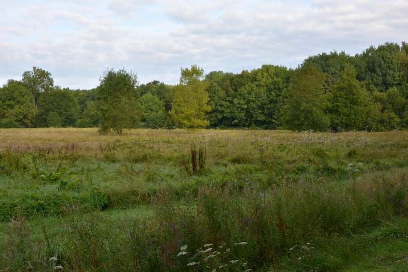 tourisme-sologne-site naturel-villeherviers-le baltan1