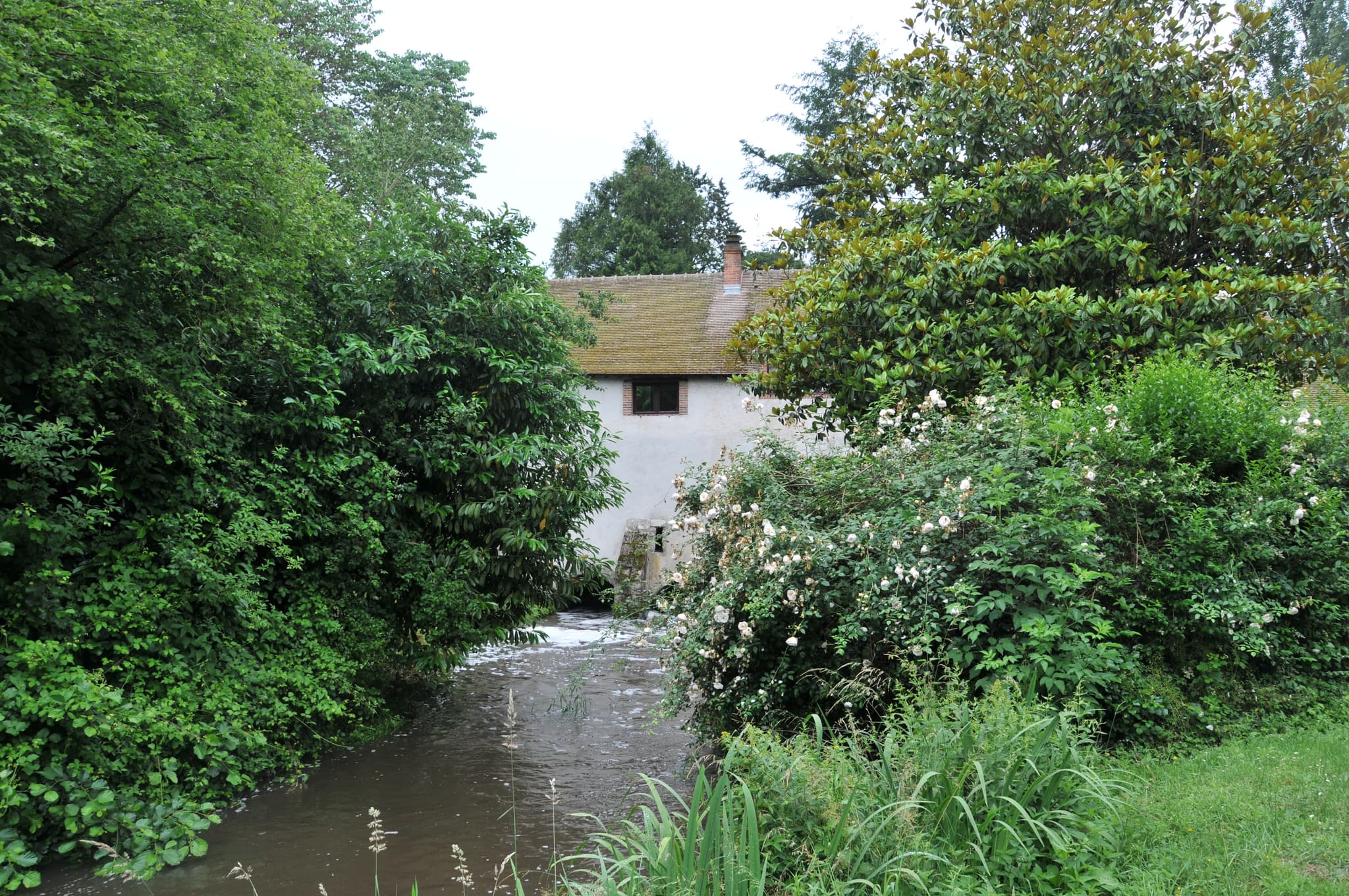 Moulin du seigneur