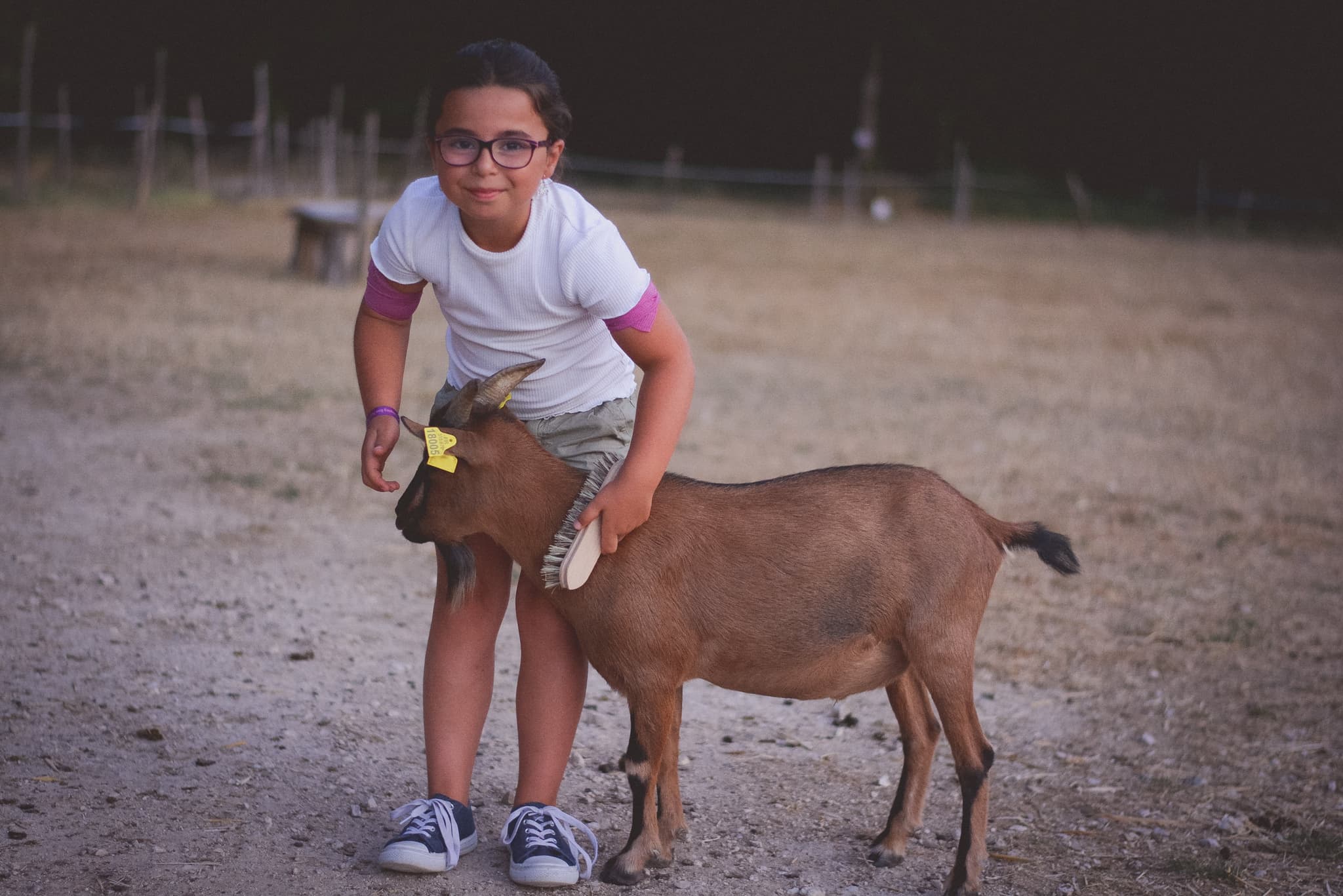 animaux ferme pedagogique nature