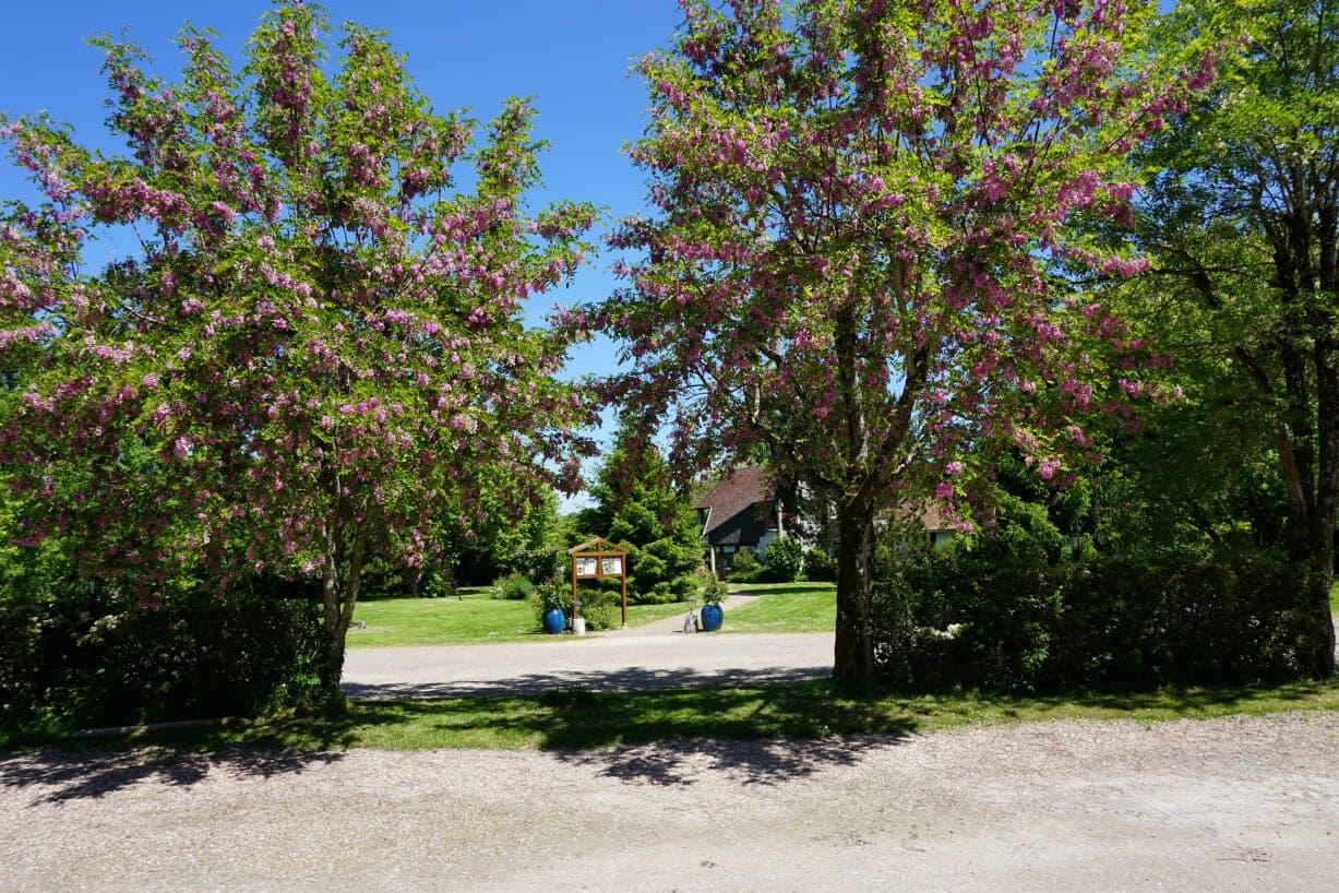 Le Domaine de l'arbrelle - Amboise