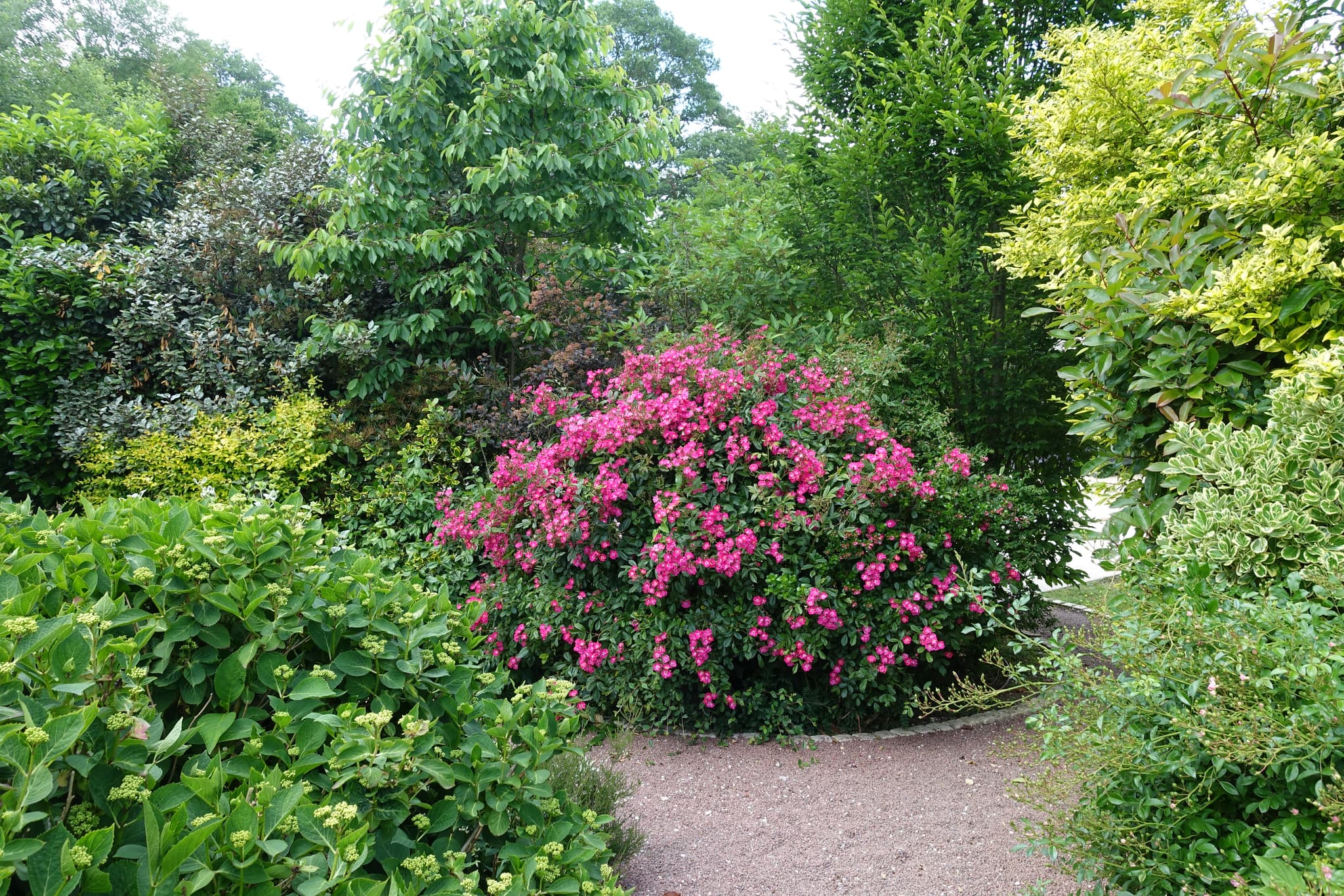 DSC00442