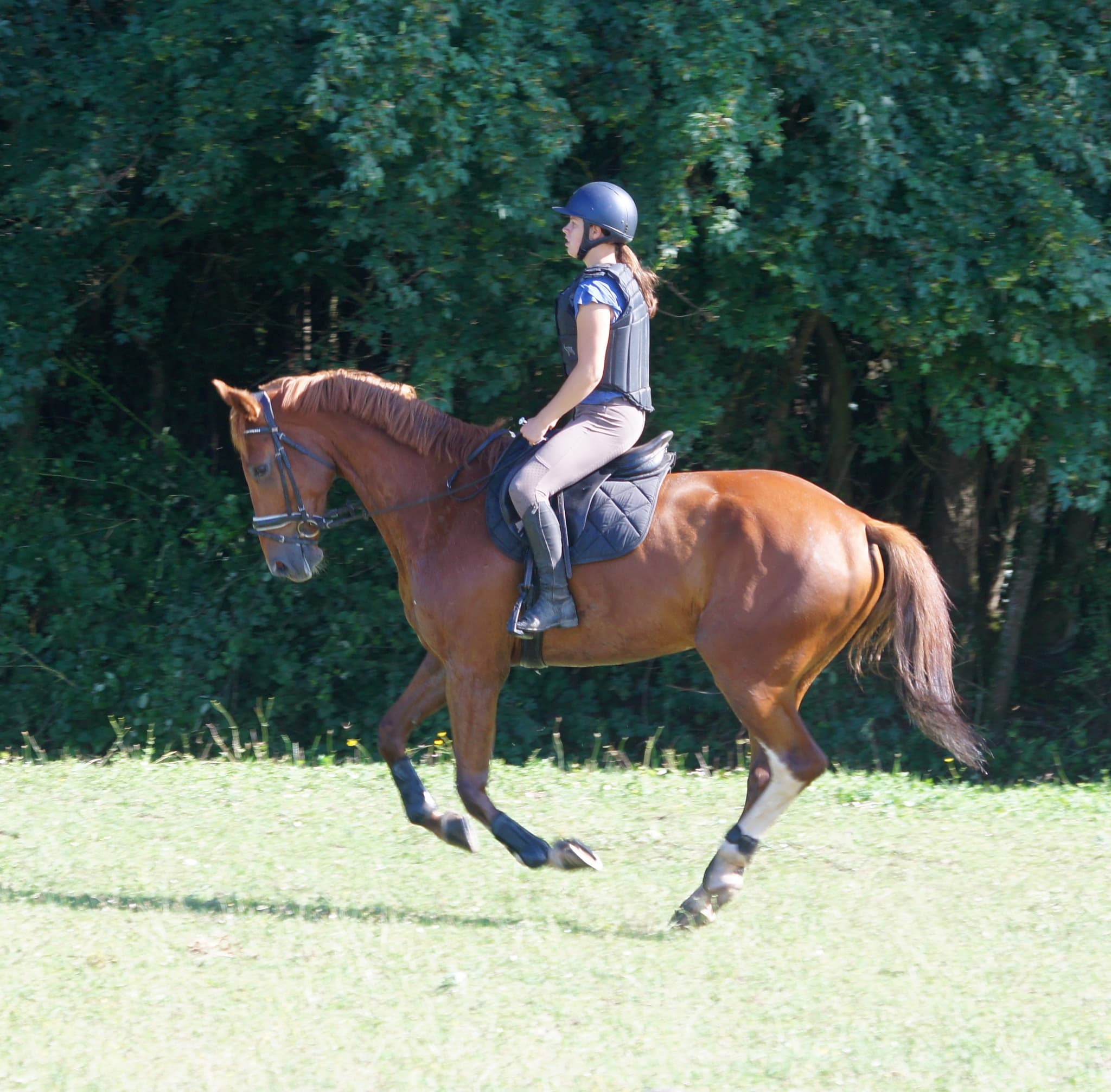 Poney Club de la Metairie de Sort