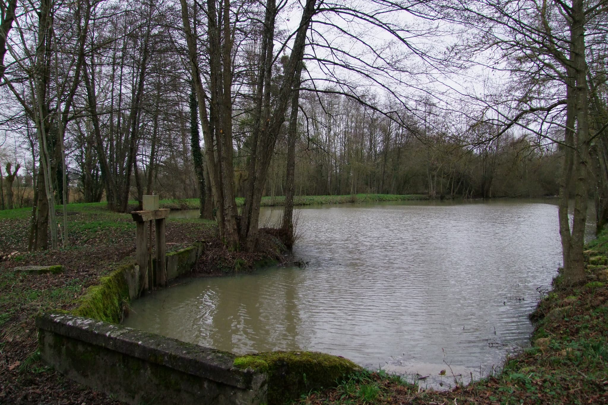 étang de Jobert