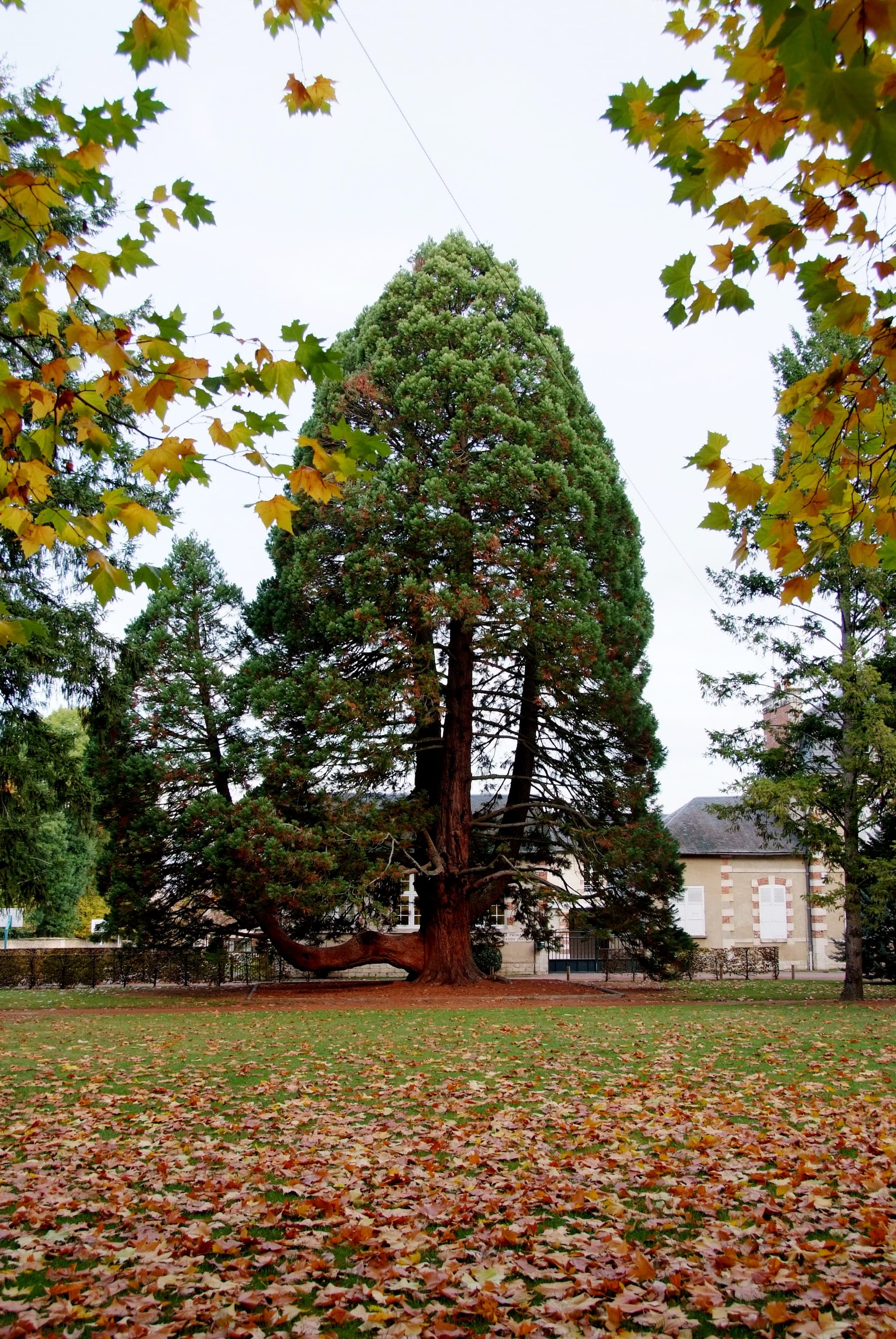 Grands Jardins