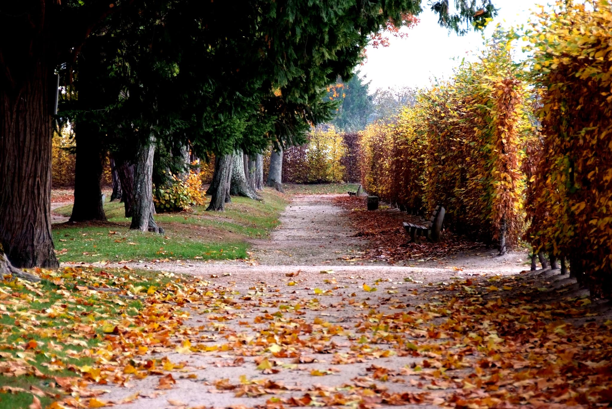 Grands Jardins