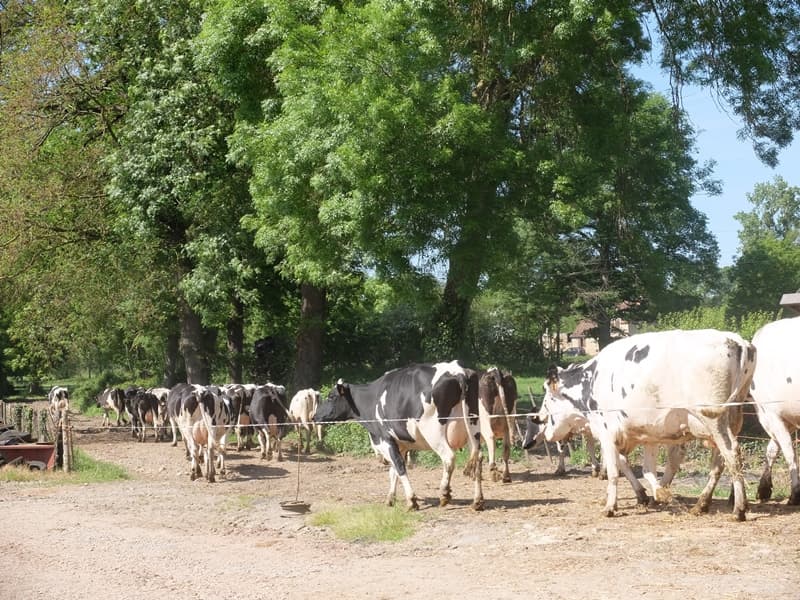 GAEC la ferme du Pont
