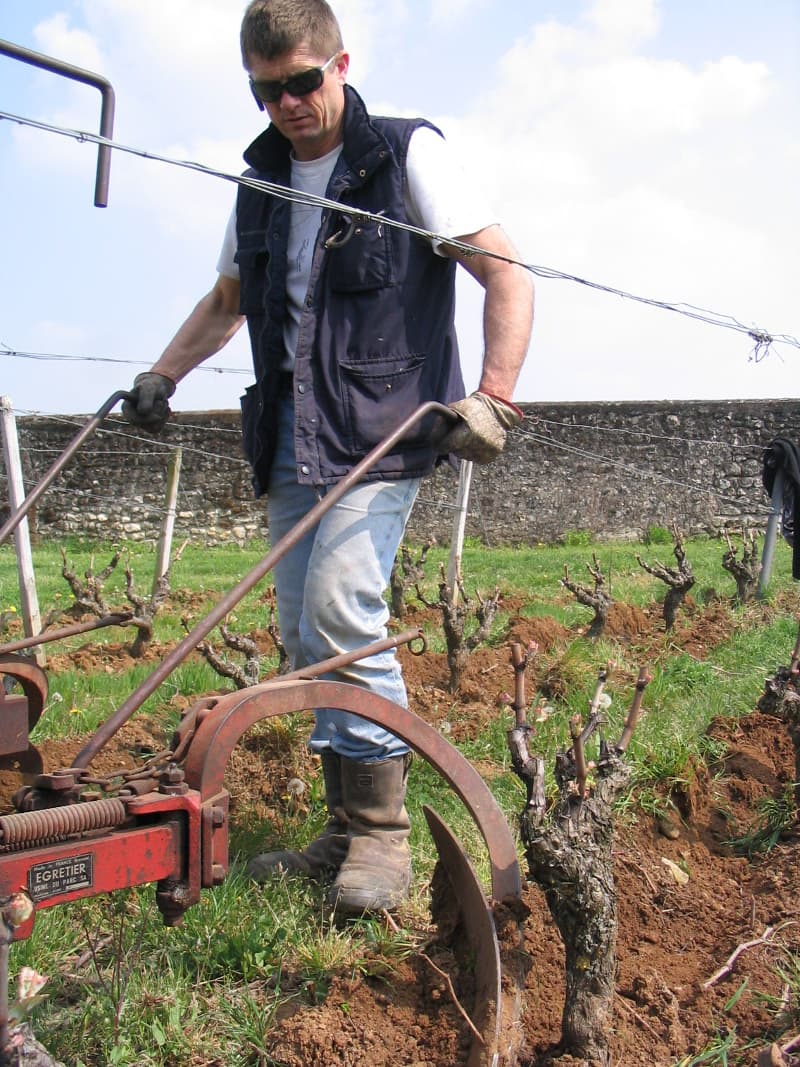 Domaine Champalou